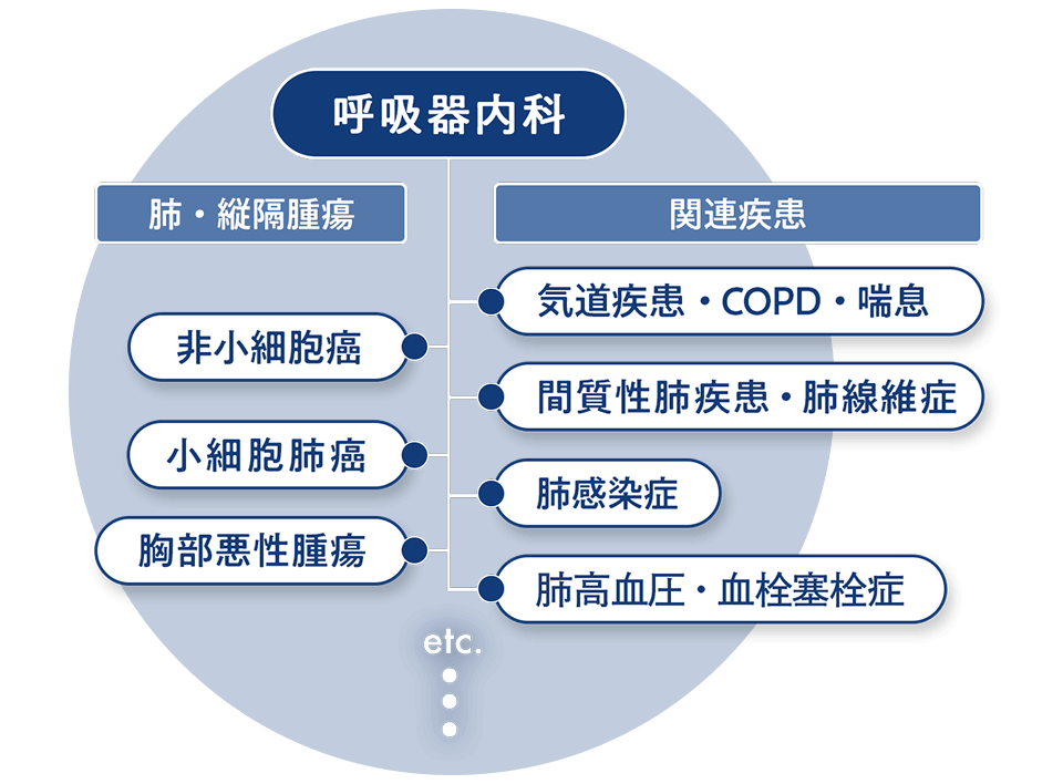 消化器腫瘍や肺・縦隔腫瘍を始めとした多様ながん種・領域を選択できることを表すイメージ図